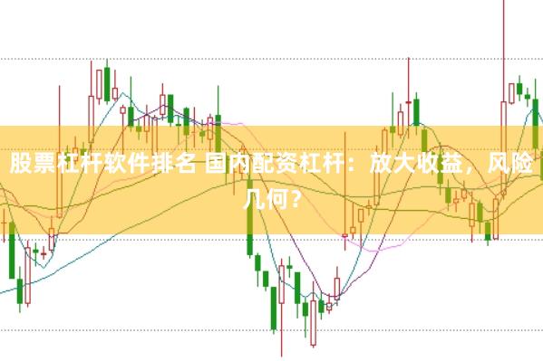 股票杠杆软件排名 国内配资杠杆：放大收益，风险几何？