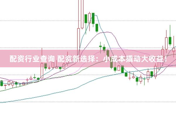 配资行业查询 配资新选择：小成本撬动大收益！
