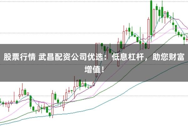 股票行情 武昌配资公司优选：低息杠杆，助您财富增值！