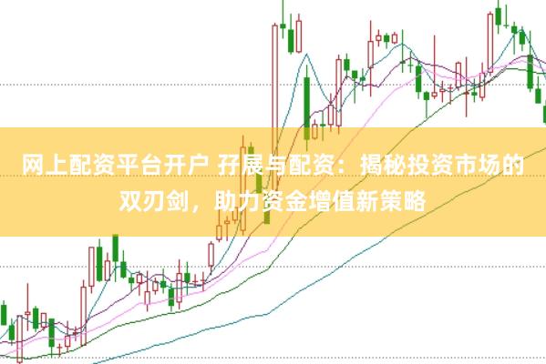 网上配资平台开户 孖展与配资：揭秘投资市场的双刃剑，助力资金增值新策略