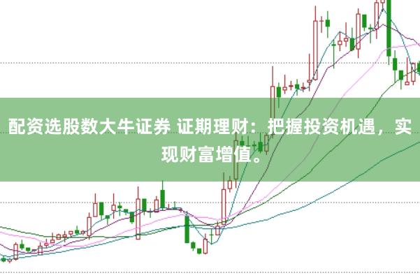 配资选股数大牛证券 证期理财：把握投资机遇，实现财富增值。
