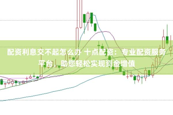 配资利息交不起怎么办 十点配资：专业配资服务平台，助您轻松实现资金增值