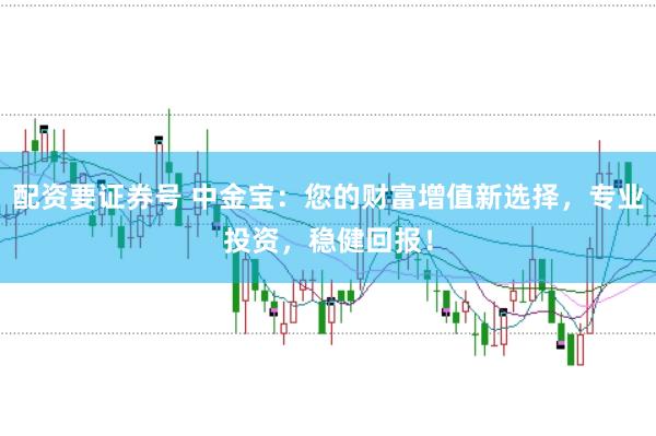 配资要证券号 中金宝:您的财富增值新选择,专业投资,稳健回报!