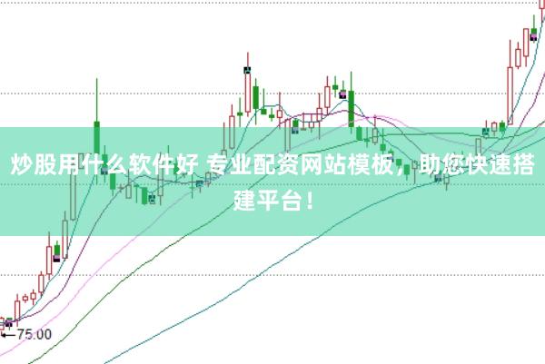 炒股用什么软件好 专业配资网站模板，助您快速搭建平台！