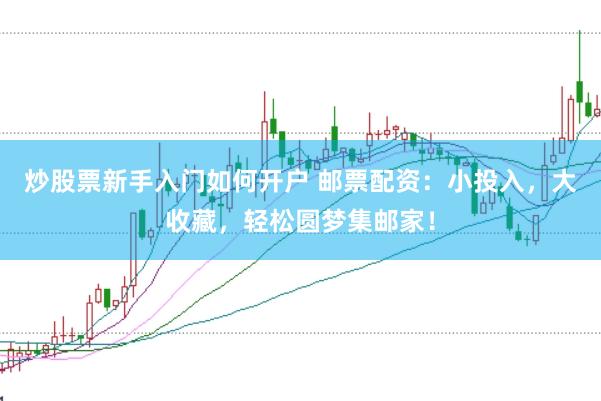 炒股票新手入门如何开户 邮票配资：小投入，大收藏，轻松圆梦集邮家！