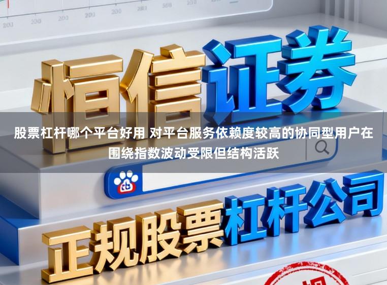股票杠杆哪个平台好用 对平台服务依赖度较高的协同型用户在围绕指数波动受限但结构活跃