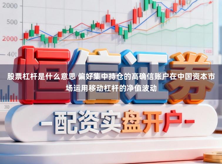 股票杠杆是什么意思 偏好集中持仓的高确信账户在中国资本市场运用移动杠杆的净值波动